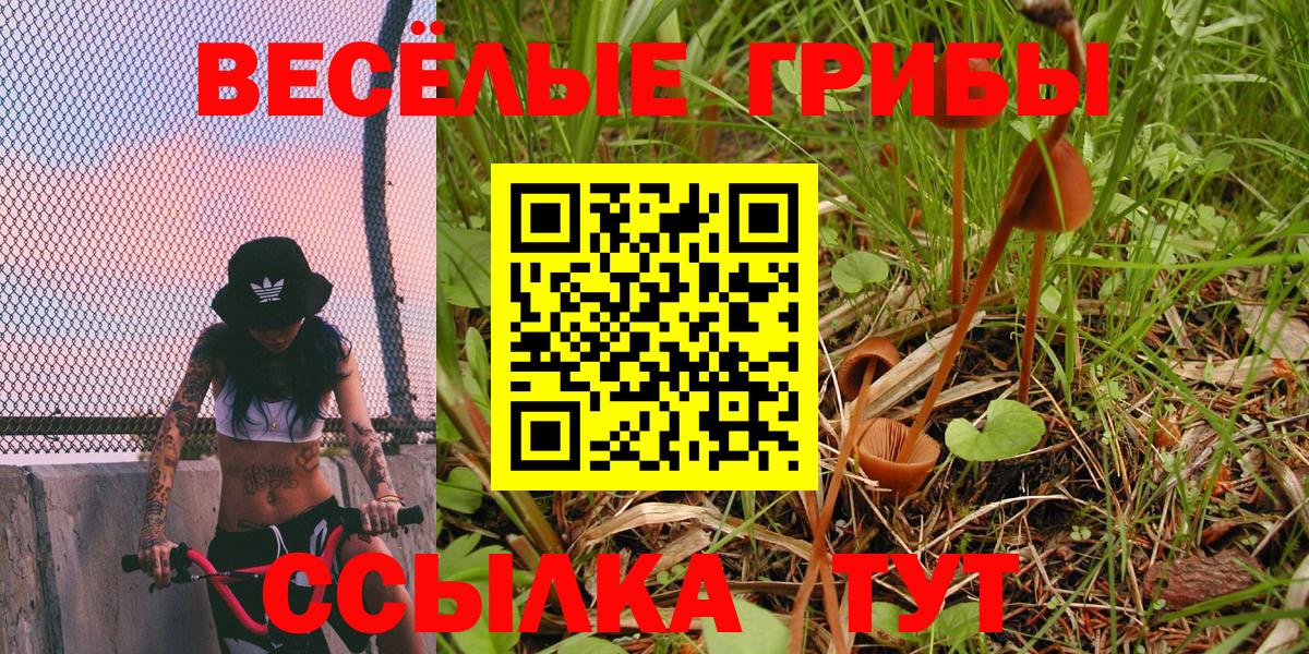 Псилоцибиновые грибы мухоморы  Вход с VPN  Татарск 