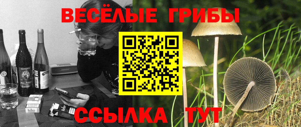 Галлюциногенные грибы MAGIC MUSHROOMS Татарск